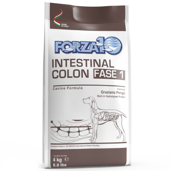 FORZA10 Intestinal Colon (Colitis) ФАЗА 1 